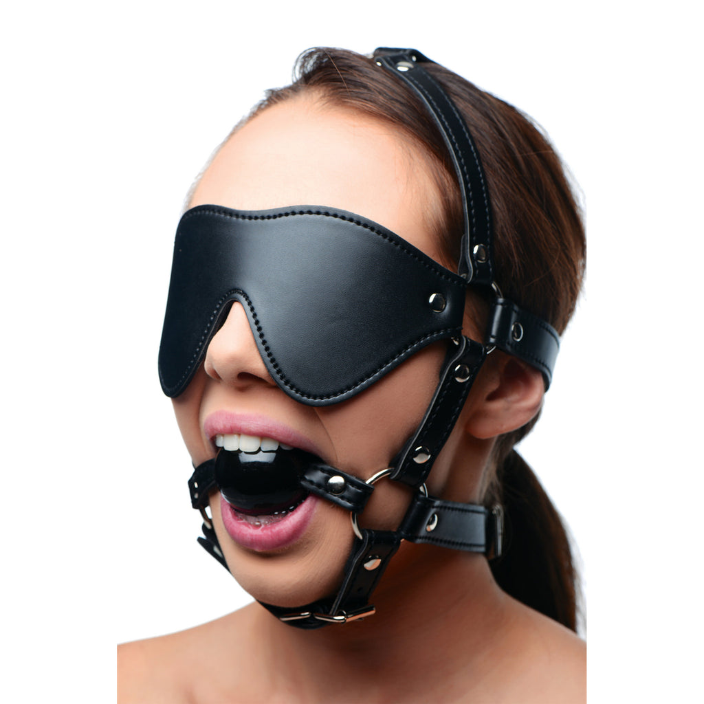 Blindfold Harness And Ball Gag